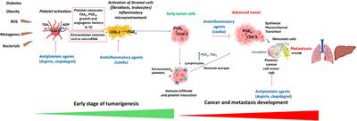 The future of pharmacology and therapeutics of the arachidonic acid cascade in the next decade: Innovative advancements in drug repurposing